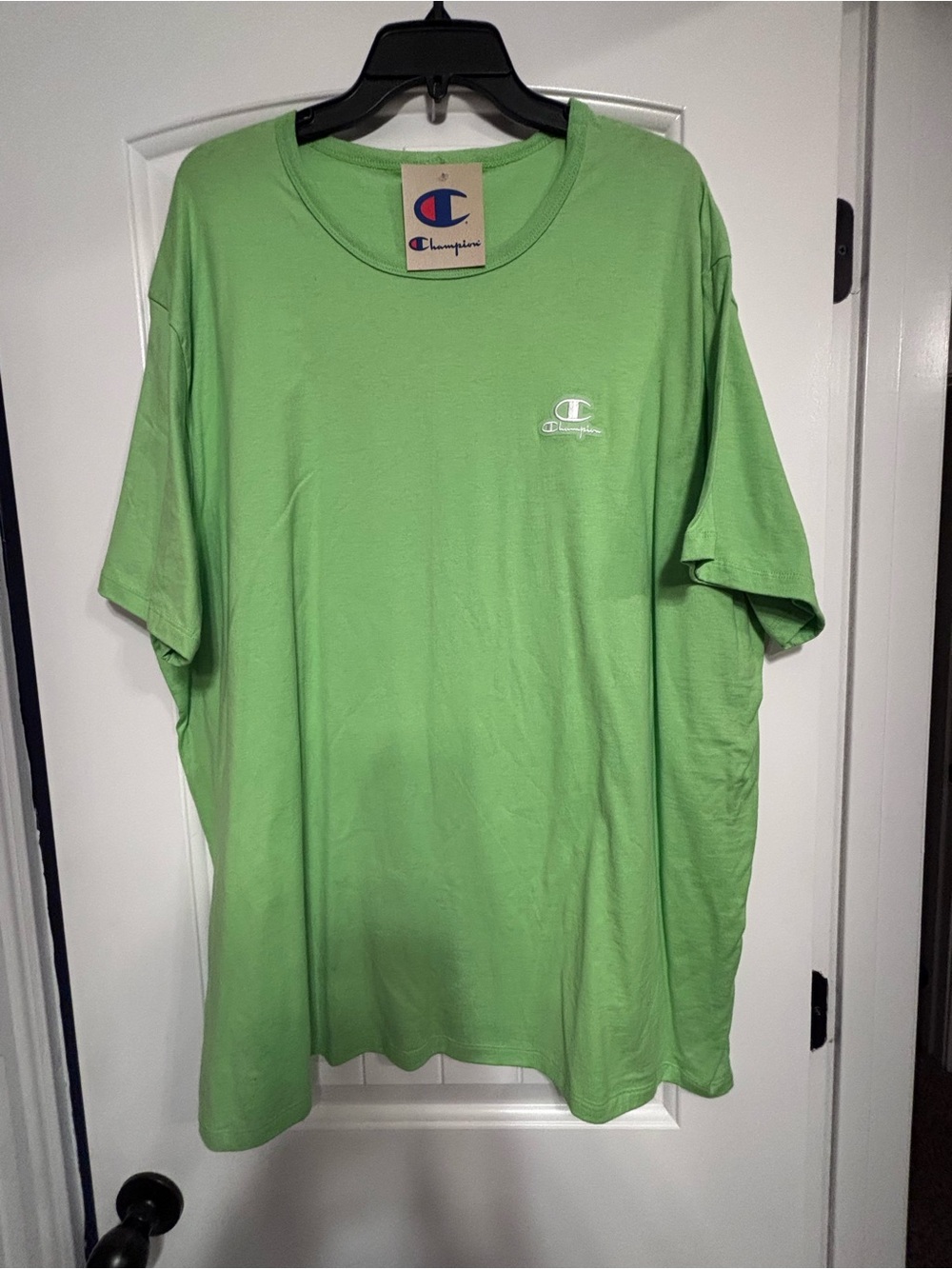 Champion Men's Short Sleeve Tee in Light Green with Chest Logo, 2xl